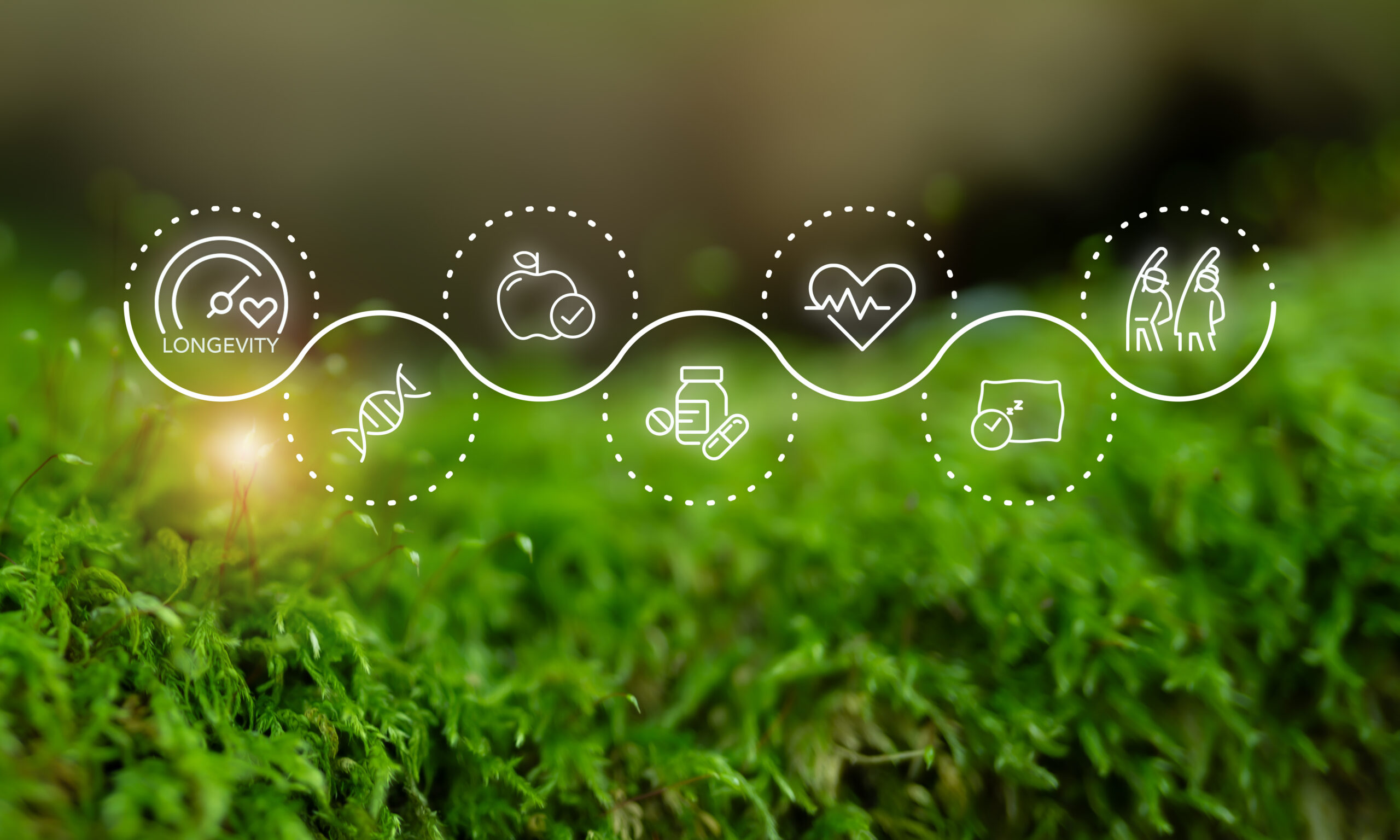 Unlocking the Secrets to Sustainable Wellness